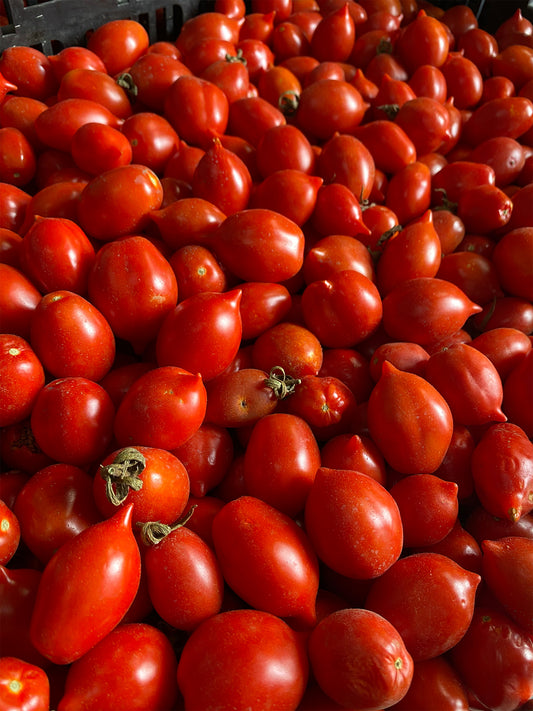 ‘A Pacchetella Fillets Of “Pomodorino Del Piennolo Del Vesuvio P.D.O."