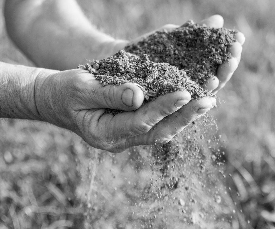 Sustainability Image