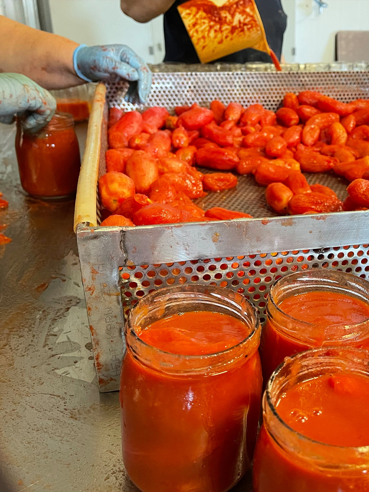 Corbara Tomatoes - Sua Eccellenza