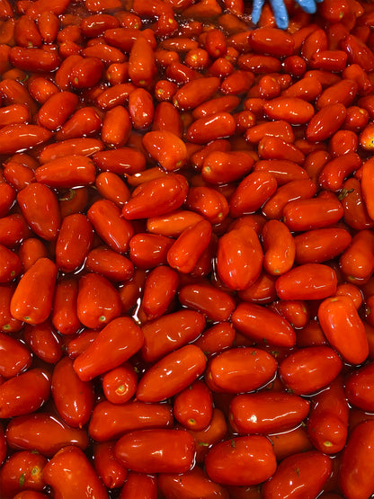 Corbara Tomatoes - Sua Eccellenza